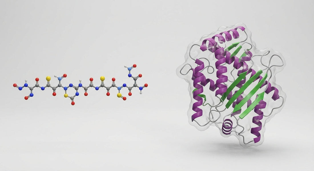 Comparison of peptide chains and protein structures in scientific research